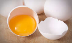 Eggs during pregnancy